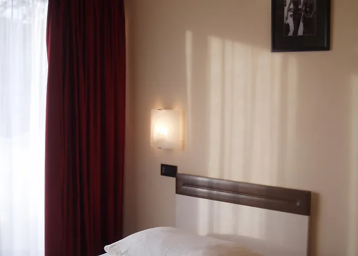 Hotell Fontana Buzet