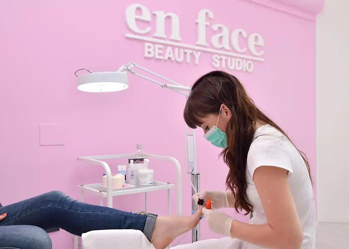 Hotell Fontana Buzet